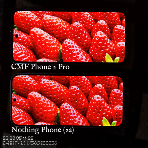 Snapshot 29.png