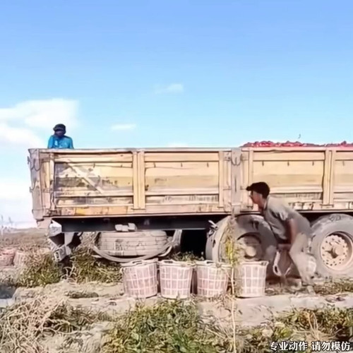 6y 71tiUKfC2fmkz.jpg