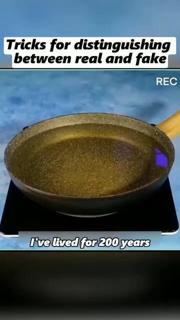 RlvQPd8FsG0tMWJy.jpg