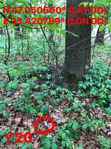 5287501283277796684.jpg