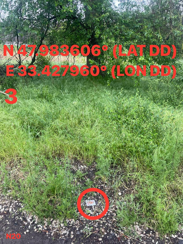 5287537180614455181.jpg