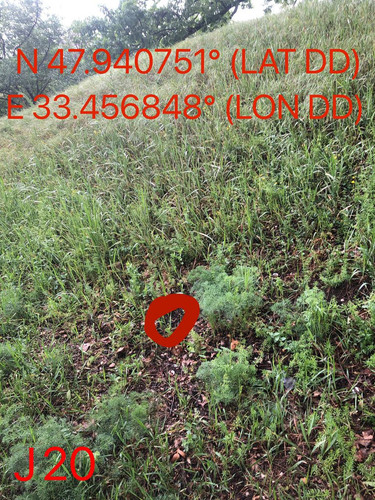 5287491112795238031.jpg