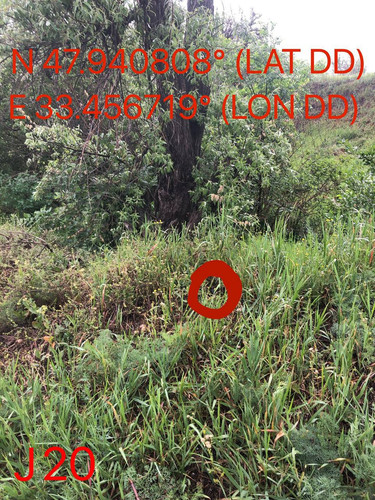 5287491112795238032.jpg