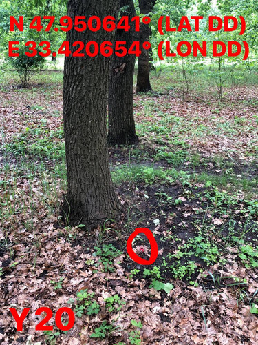 5287501283277796686.jpg