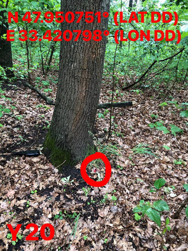 5287501283277796688.jpg