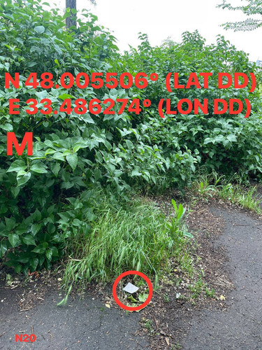 5287415048924425229.jpg