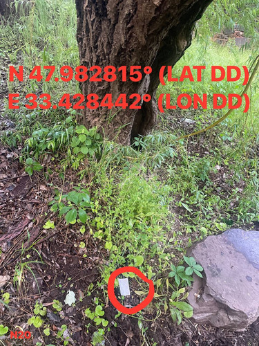 5287415048924425203.jpg