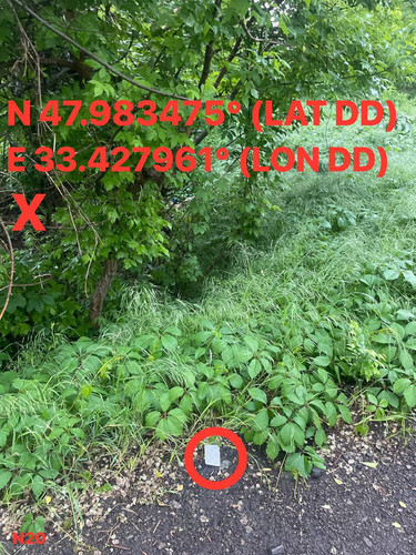 5287415048924425192.jpg