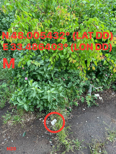 5287415048924425242.jpg