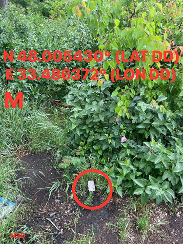 5287415048924425243.jpg