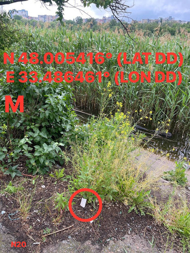 5287415048924425249.jpg