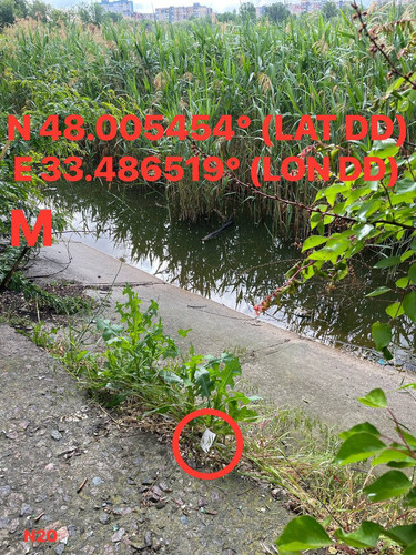 5287415048924425245.jpg