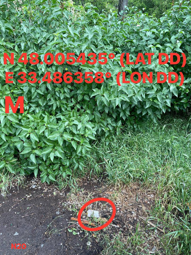 5287415048924425244.jpg