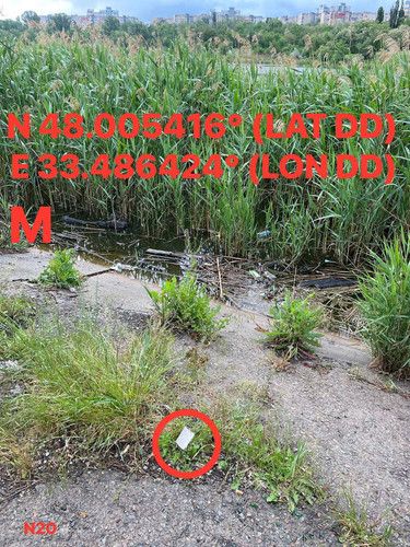 5287415048924425250.jpg