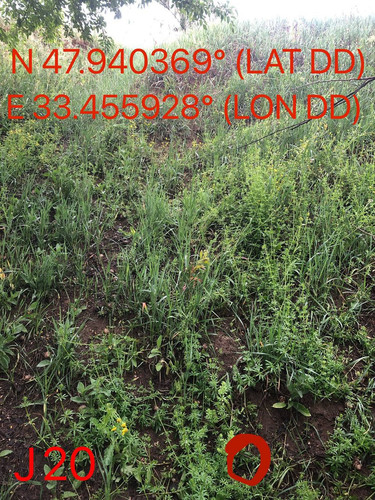 5287491112795238018.jpg