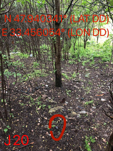 5287491112795238012.jpg