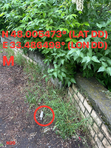 5287415048924425255.jpg