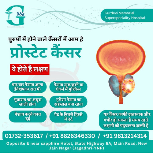 Prostate Cancer Treatment in Yamunanagar- Expert Doctors and Diagnosis.jpg