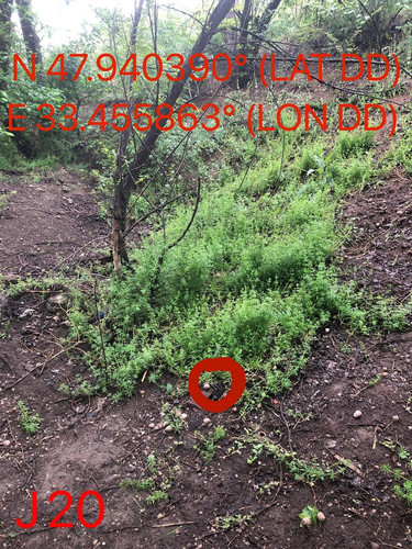 5287491112795238022.jpg