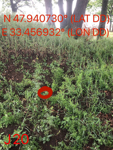 5287491112795238030.jpg