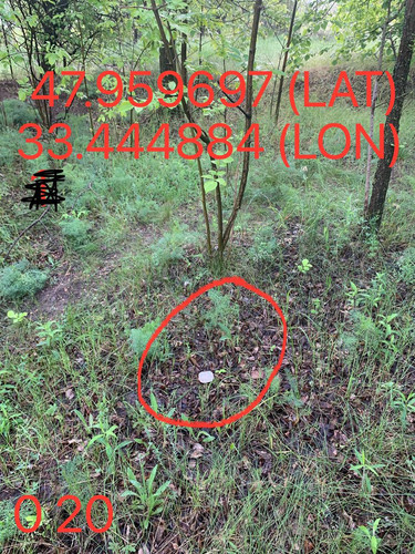 5287650864103814367.jpg