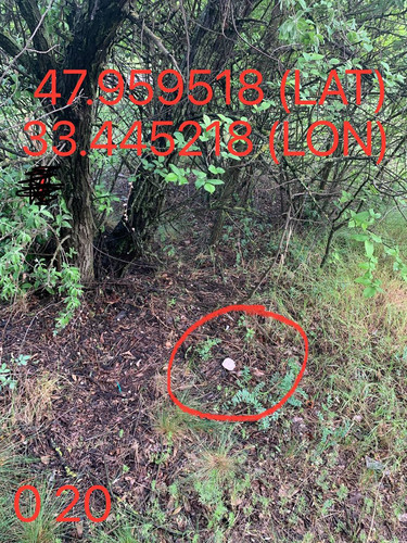 5287650864103814371.jpg