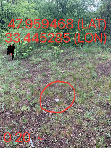 5287650864103814375.jpg