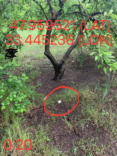 5287650864103814374.jpg