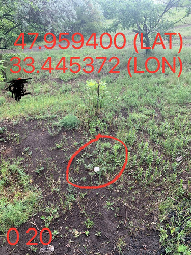 5287650864103814381.jpg