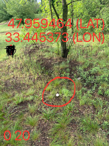 5287650864103814382.jpg