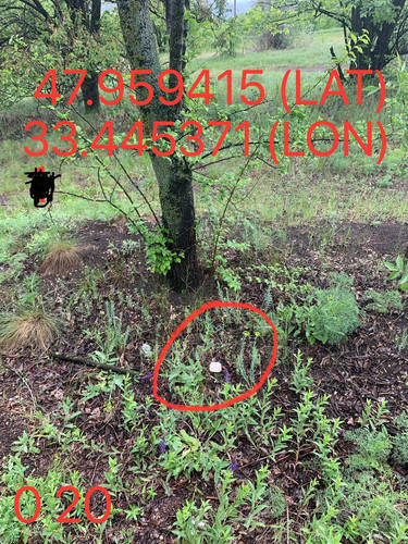 5287650864103814379.jpg