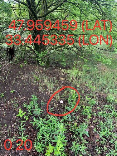 5287650864103814376.jpg