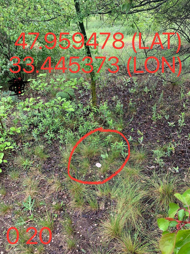 5287650864103814378.jpg