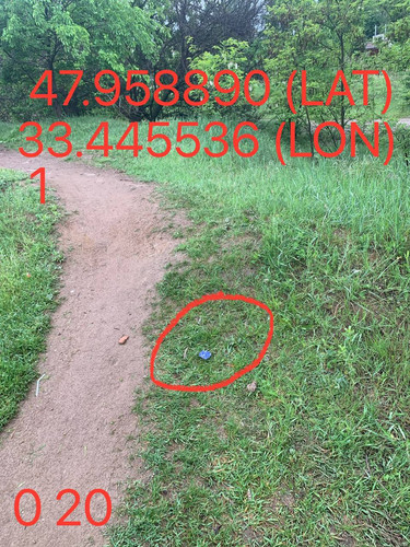 5287650864103814429.jpg