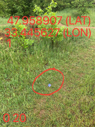 5287650864103814432.jpg
