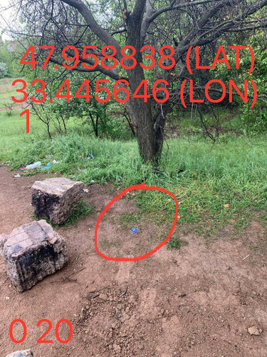 5287650864103814431.jpg