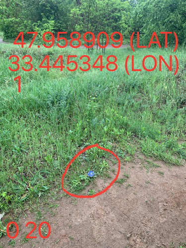 5287650864103814420.jpg