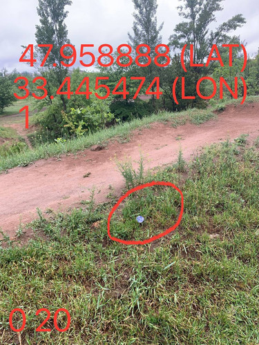 5287650864103814422.jpg
