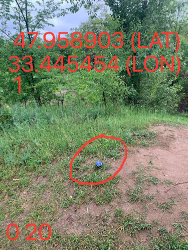 5287650864103814421.jpg