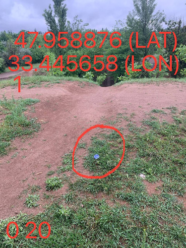 5287650864103814433.jpg