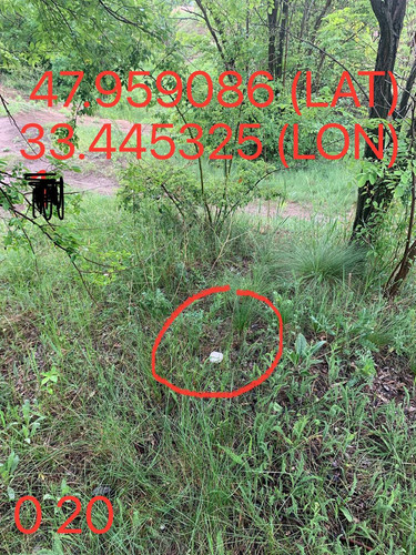 5287650864103814392.jpg