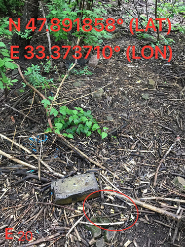 5289673677736112190.jpg