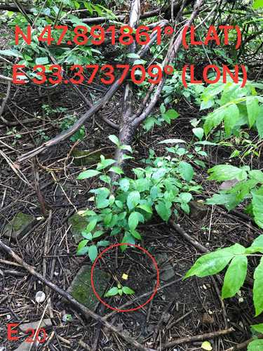 5289673677736112192.jpg