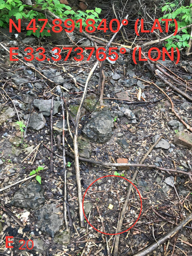 5289673677736112197.jpg