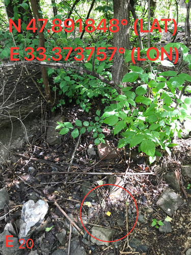 5289673677736112203.jpg