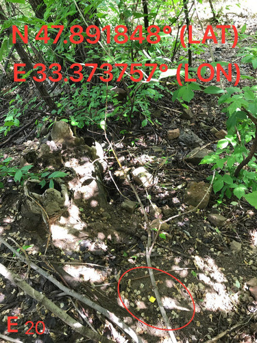 5289673677736112204.jpg