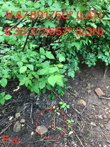 5289673677736112215.jpg
