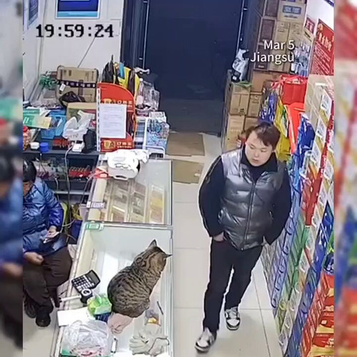 oW8sQ U32v N07oF.jpg