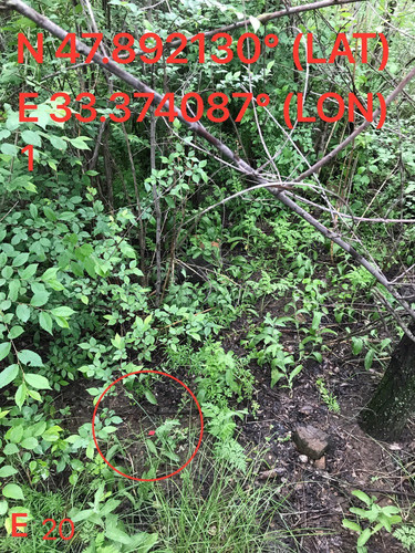 5287539860674049015.jpg