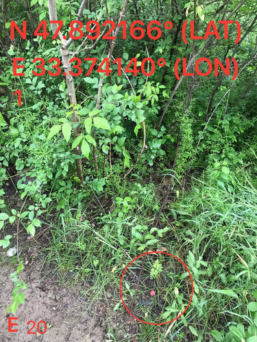 5287539860674049017.jpg